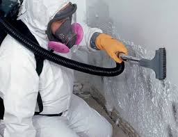 Best Emergency Mold Remediation  in North Grosvenor Dale, CT